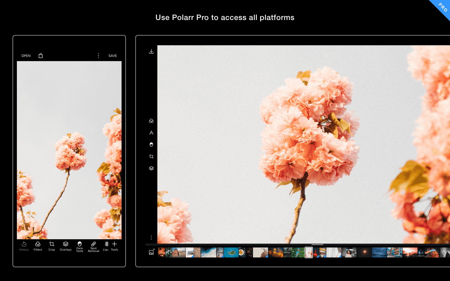Polarr Photo Editor Pro Full Preactivated