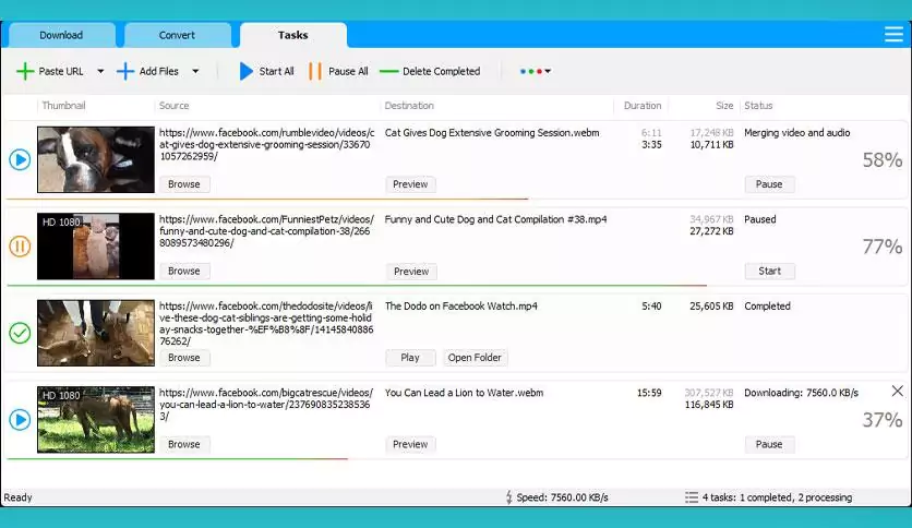 Social Media Downloader For Windows Social Media Downloader For Windows
